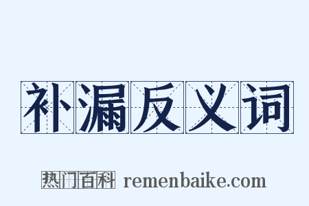 补漏反义词是什么意思的图片